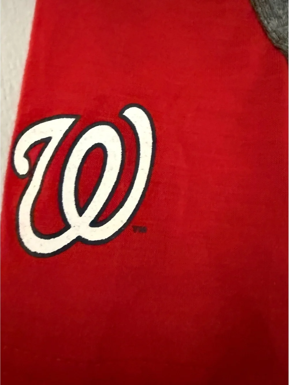 Washington Nationals Officially Licensed Pet Hoodie - Large